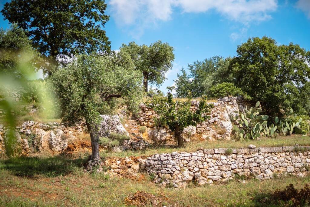 فيلا Trullo Caelum ألبيروبيللو المظهر الخارجي الصورة