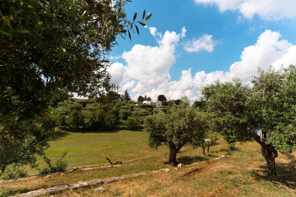 فيلا Trullo Caelum ألبيروبيللو المظهر الخارجي الصورة