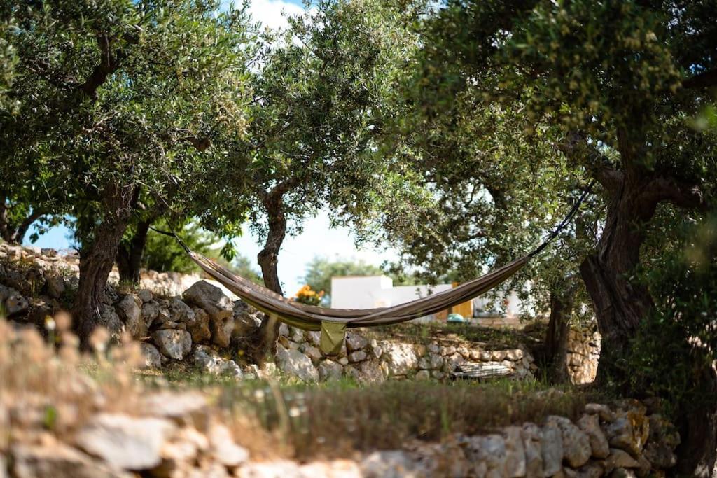 فيلا Trullo Caelum ألبيروبيللو المظهر الخارجي الصورة